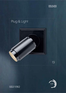 Plug & Light