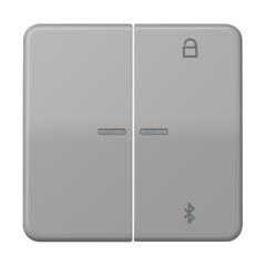 Таймер универсальный Bluetooth, серый