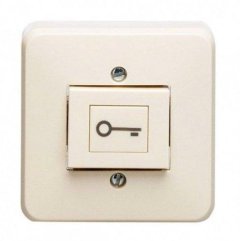 333AT Кнопка 10А 250V с символом ключ