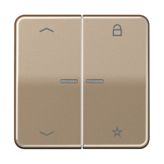 Центральная плата для вставок управления двигателями, CD1701PGB