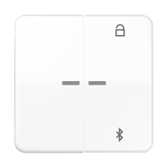 Таймер универсальный Bluetooth, белый