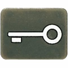 33ANT Символ для кнопки ключ; антрацит
