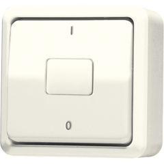 602A Выключатель для накладного монтажа, двухполюсный; слоновая кость
