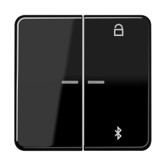 Таймер универсальный Bluetooth, чёрный