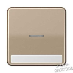 CD590NAKO5GB Клавиша с окошком для выключателя с подсветкой и полем для надписи; золотая бронза