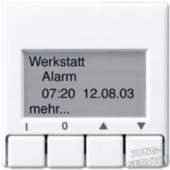 A2041CH KNX информационный дисплей; шампань