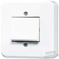 306A Выключатель для накладного монтажа, универсальный; слоновая кость