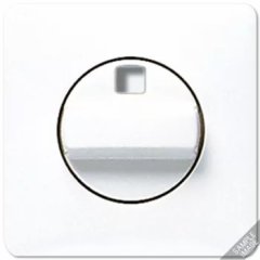 541Z Крышка для поворотного выключателя