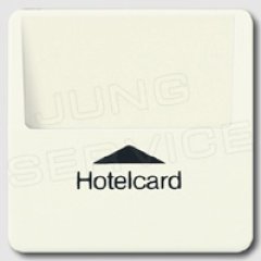 590CARD накладка карточного выключателя (без механизма) для кнопок (с подсветкой)