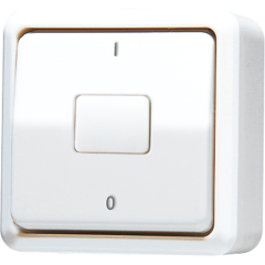 602AWW Выключатель для накладного монтажа, двухполюсный; белый