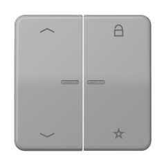 Центральная плата для вставок управления двигателями, CD1701PGR