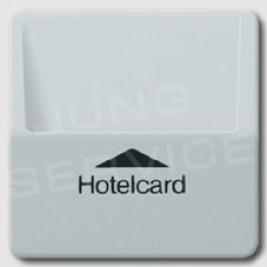 CD590CARDLG Накладка карточного выключателя для серии CD 500 + CD plus; светло-серый