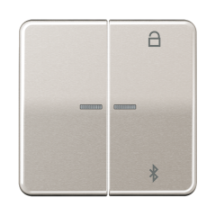 Таймер универсальный Bluetooth, платина