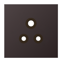 BS2171-5ALDPL