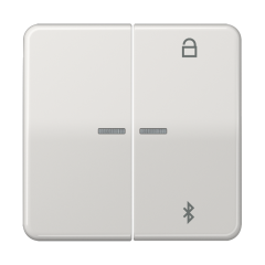 Таймер универсальный Bluetooth, светло-серый