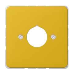 564GE Крышка для установки специальных гнезд ? 22,5 мм; желтая