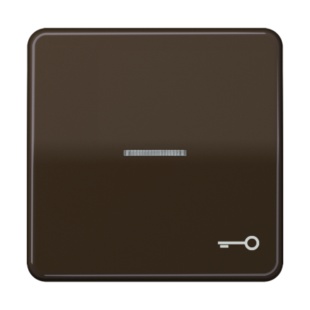 CD590KO5TBR Клавиша с окошком и символом ключ для выключателей с подсветкой; коричневая
