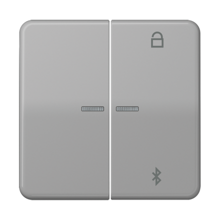 Таймер универсальный Bluetooth, серый