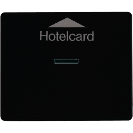 SL590CARDSW Накладка карточного выключателя; черная