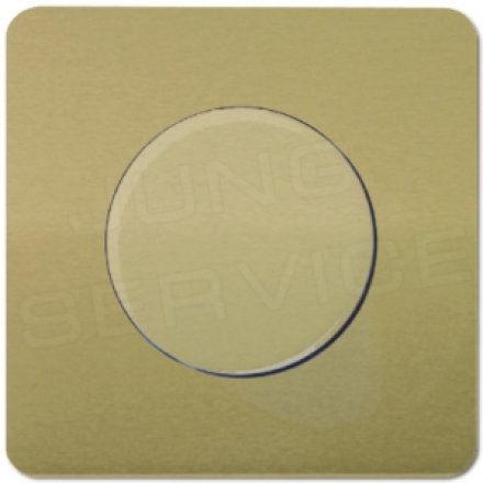 CD540GB Крышка для роторного диммера; золотая бронза