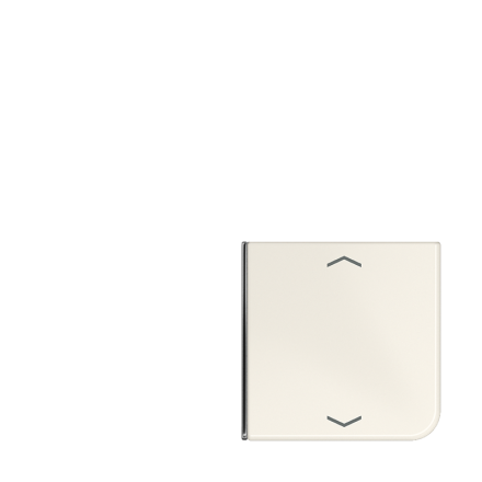 CD404TSAP14 клавиша с символом для 3 и 4-клавишного пульта KNX, слоновая кость, для серии CD (верхняя левая; вер