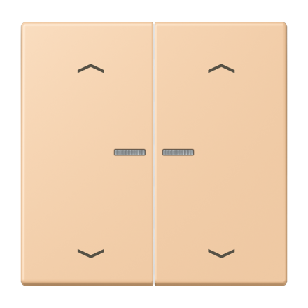 JUNG HOME кнопка, 2 группы с символами «стрелки», BT LC 17102 P237