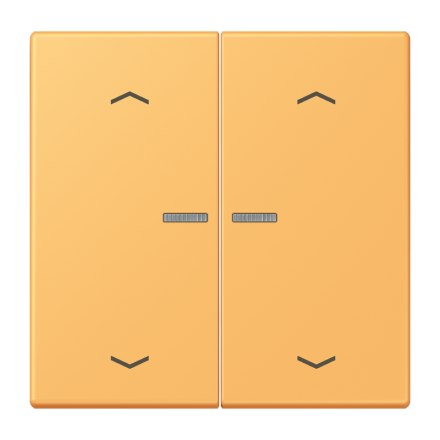 JUNG HOME кнопка, 2 группы с символами «стрелки», BT LC 17102 P254