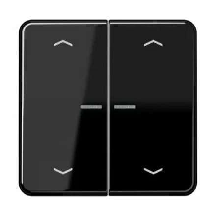 CD595KO5MPSW Клавиши для сдвоенной кнопки BCU; черные
