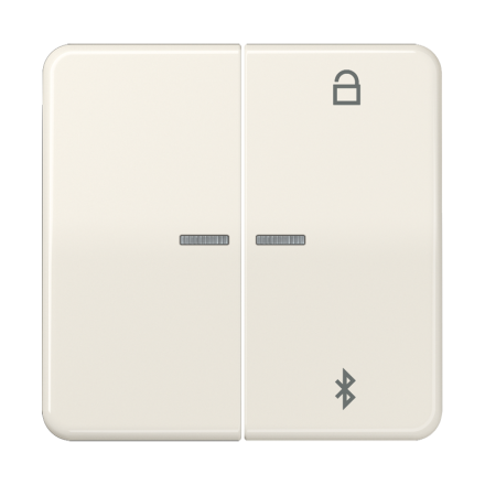 Таймер универсальный Bluetooth, слоновая кость