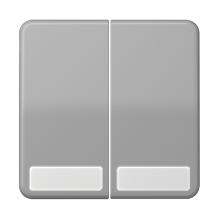 CD595NAGR Клавиши для сдвоенных выключателей и кнопок с полем для надписи; серые