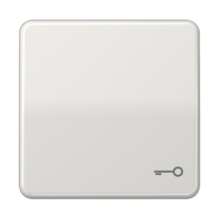 CD590TLG Клавиша с символом ключ; светло-серая