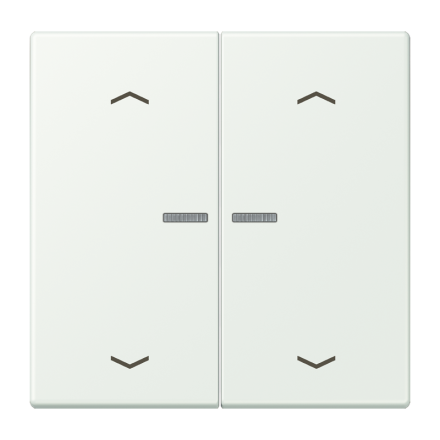 JUNG HOME кнопка, 2 группы с символами «стрелки», BT LC 17102 P210