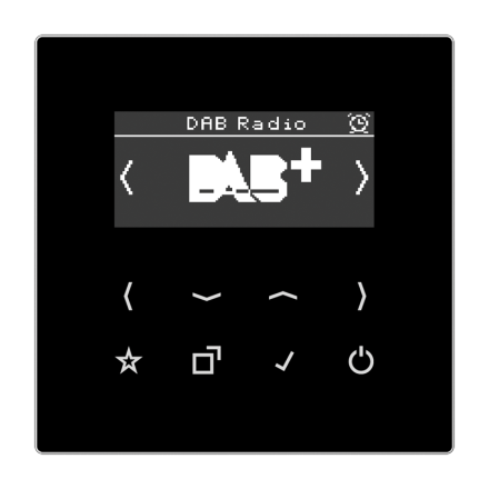 Цифровое радио DAB +, DABLSSW