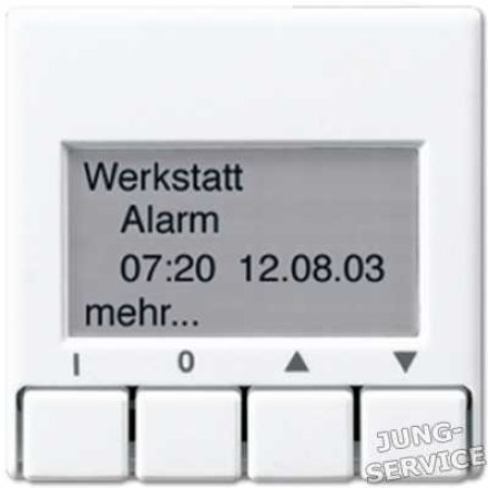 A2041CH KNX информационный дисплей; шампань