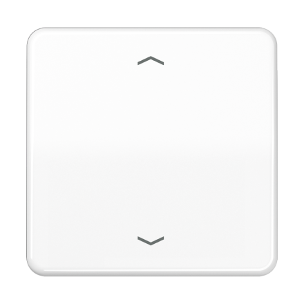 CD590PWW Клавиша для одинарной кнопки BCU; белая