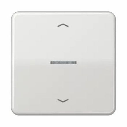 CD590KO5PLG Клавиша для одинарной кнопки BCU; светло-серая