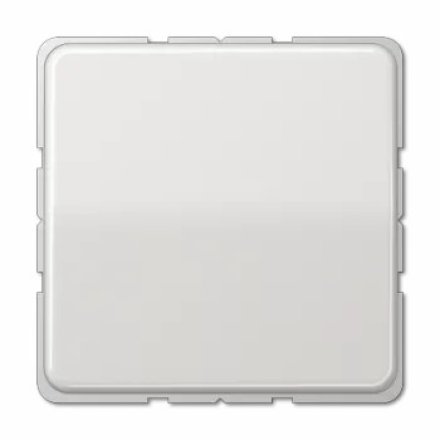 CD520WULG Штепсельная розетка SCHUKO 16A 250V  с защитой от влажности; светло-серая