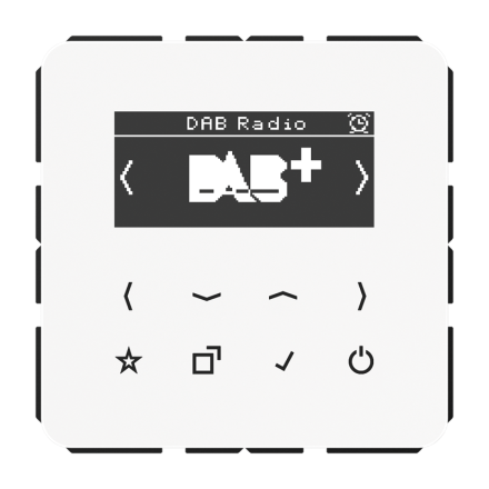 Цифровое радио DAB +, DABCDWW