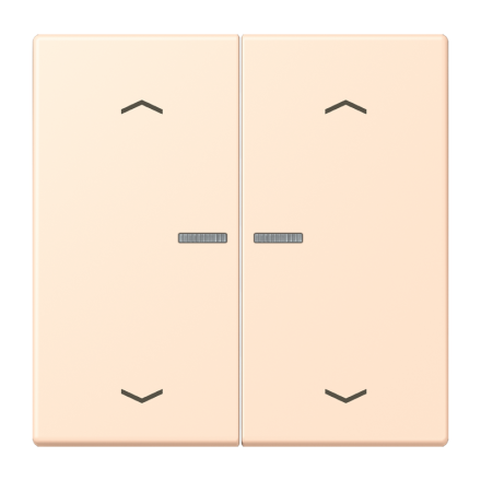 JUNG HOME кнопка, 2 группы с символами «стрелки», BT LC 17102 P238