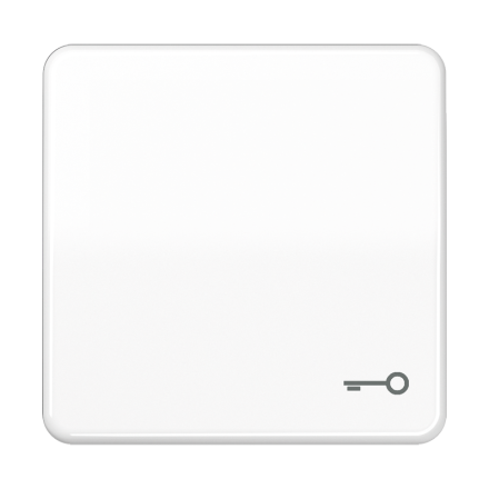 CD590TWW Клавиша с символом ключ; белая