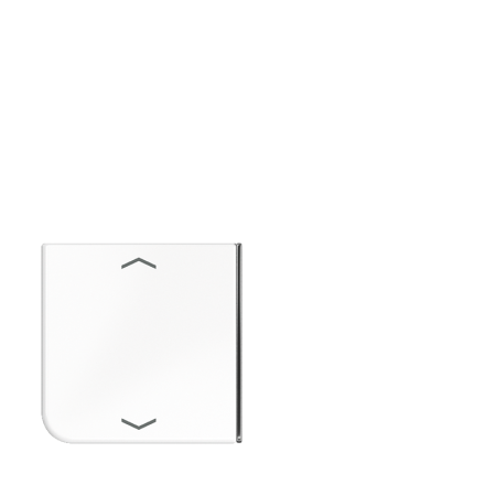 CD404TSAPWW23 клавиша с символом для 3 и 4-клавишного пульта KNX, белая, для серии CD ( нижняя левая; верхняя прав