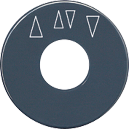 SKS1234.10 диск со шкалой