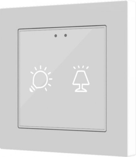 Выключатель сенсорный KNX Flat 55 X2, 2-кнопочный, произвольная графика