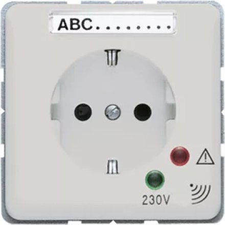 CD521KINAUFLG Штепсельная розетка SCHUKO  16А 250V  с защитой от перенапряжения; светло-серая
