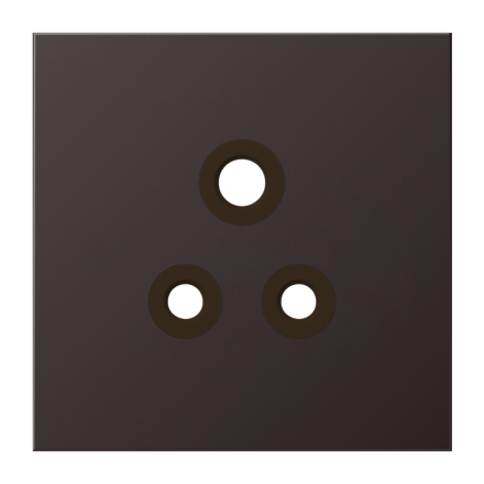 BS2171-5ALDPL