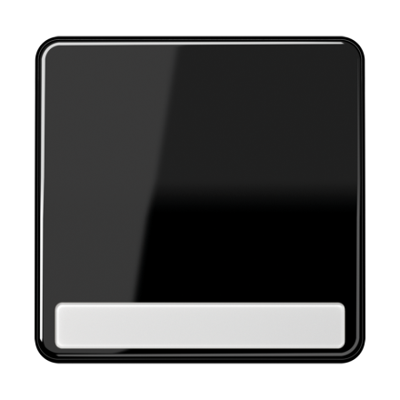 CD590NASW Клавиша для выключателя с полем для надписи; черная